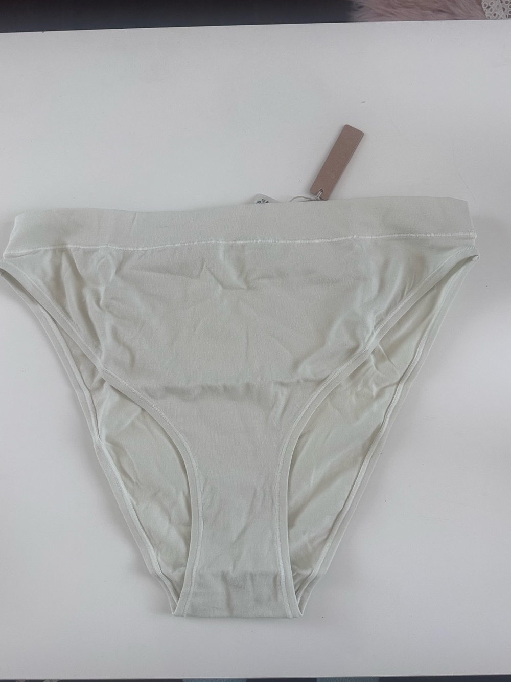 NWT SKIMS 4X Cotton Jersey Cheeky Tanga BONE